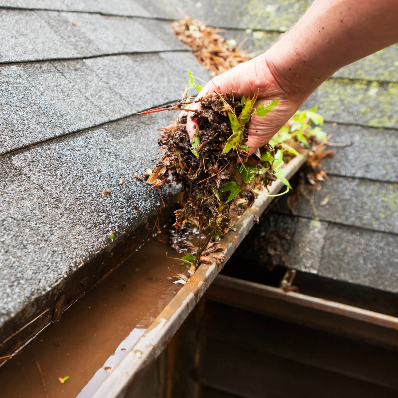 Professional Gutter Cleaning Solutions